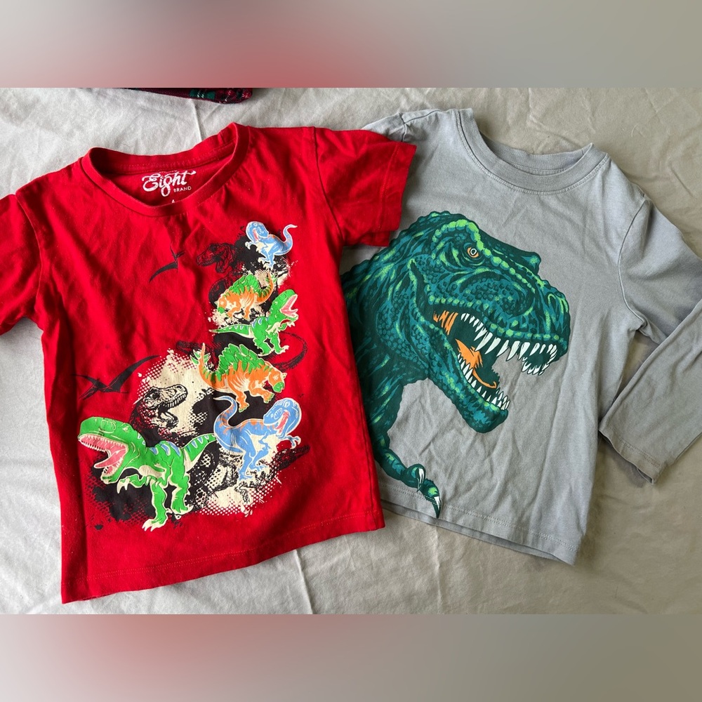 Dinosaur shirts